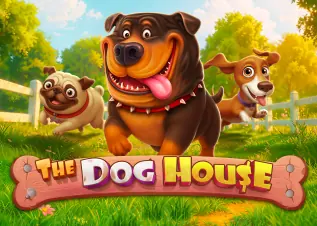 1688starbet ดีไหม The Dog House ทดลองเล่นฟรี